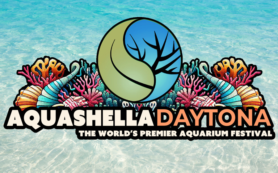 Aquashella Daytona